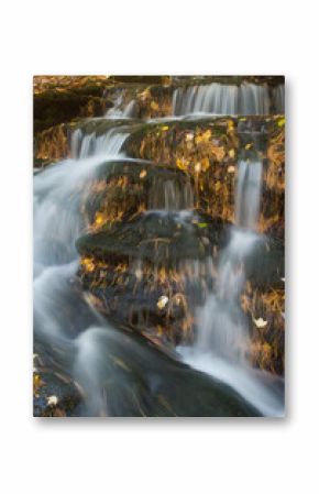Close-up detail of small waterfall cascading down mossy rocks covered with fallen autumn leaves and pine needles
