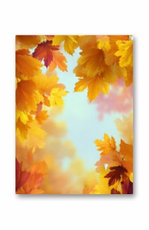 autumn leaves on the sky background