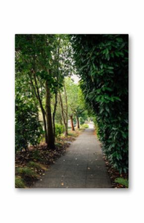 footpath, sidewalk in neighborhood in Seattle, Washington