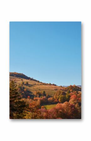 Autumn colored trees and countryside landscape scenery.