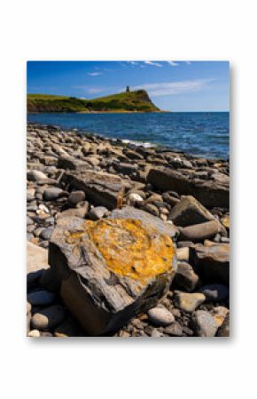 Kimmeridge Bay fossils and shoreline