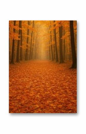 Serene autumn forest path