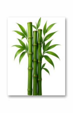 Green bamboo stalks with verdant leaves against a minimalist background.