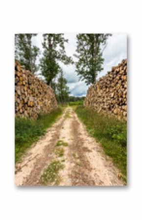 Empilement de bois de chauffage en forêt du Tronçais, Allier, France 