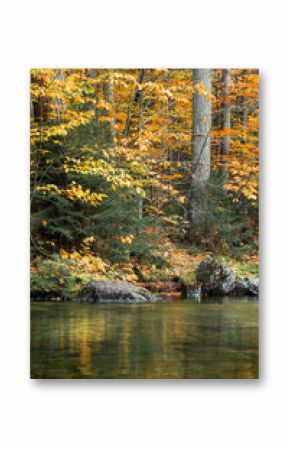 Up State New York in the Adirondack State Park during peak Fall Autumn season with golden maple leaves along the Hudson river. Trail up the Indian Head Lake view point.
