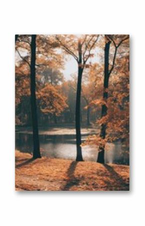 Autumn landscape outdoors nature.