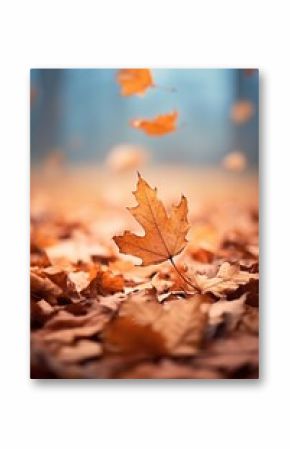 Autumn leaves plant leaf.