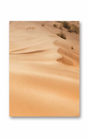 Gentle winds creating stunning ripples across the sand dunes of a vast desert landscape, highlighting the beauty of nature's patterns