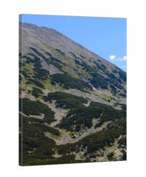 Sunlit view of a steep Pirin mountain slope, Pirin National Park, Bulgaria. Rugged landscape with rocky scree, sparse green vegetation, and scattered mountain pine shrubs.