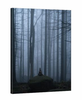 Zauberwald