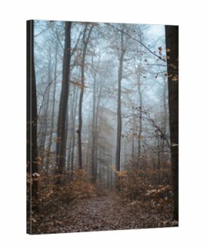 Herbstwald