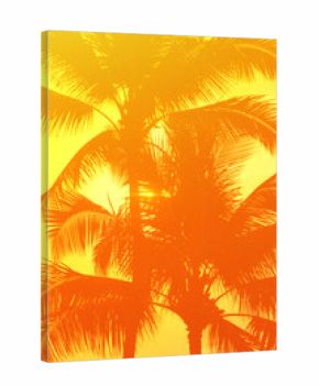 Golden Sunset Silhouetting Tropical Palm Trees in a Serene Nature Setting 
