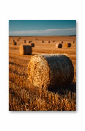 Large straw bales scattered in a golden harvested fild under a bright sky