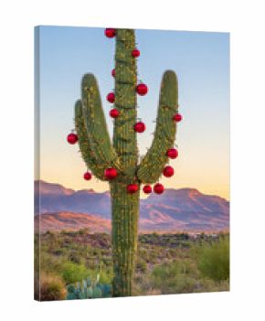Cactus adorned with red ornaments in a desert landscape during sunset showcases the fusion of nature and festive spirit. Western Christmas decor.