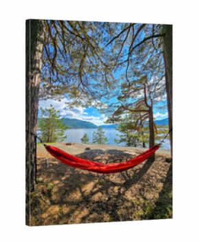 Vibrant red hammock sways gently between two tall trees, offering a perfect spot for relaxation. Lush greenery surrounds the tranquil waters of Norway, inviting peace and serenity.