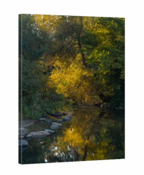 Golden Autumn Light Over Forest Stream