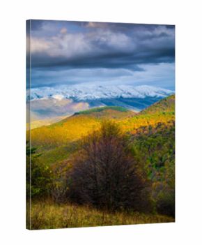 autumn landscape in the mountains