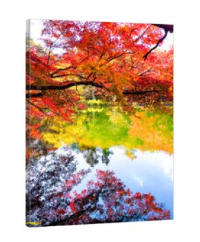 水面に映る軽井沢・雲場池の紅葉｜Autumn Reflection at Kumoba Pond, Karuizawa