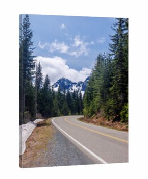 Scenic road in Mount Rainier National Park with fir trees on both sides and a snowy mountain