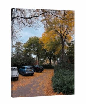 Parked cars and fallen leaves in residential area on autumn day