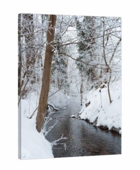 Frostiger Fluss