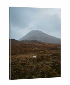 Schiehallion