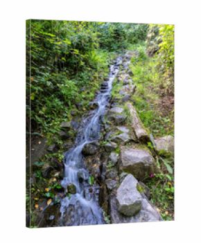 small stream meanders down a hill