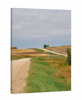 A winding gravel road runs through harvested farmland with green grass on the roadside under cloudy skies in Saskatchewan, Canada.