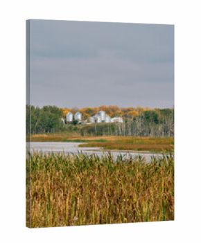 Silver grain bins and farm buildings sit behind a wetland with trees showing autumn colors under cloudy skies in Saskatchewan, Canada.