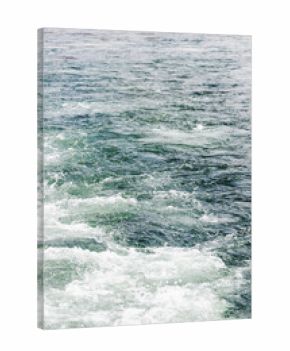 water churned up by boat propeller in Avacha bay
