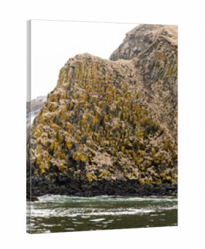 cape of Starichkov island in Avacha bay