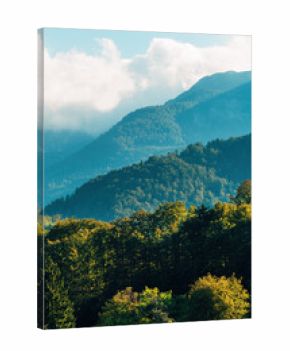 Scenic Julian Alps landscape in Slovenia with evergreen forest and mountain peaks on a clear summer day.