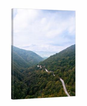 Aerial view of a winding mountain road surrounded by dense autumn forest covered with mist and fog