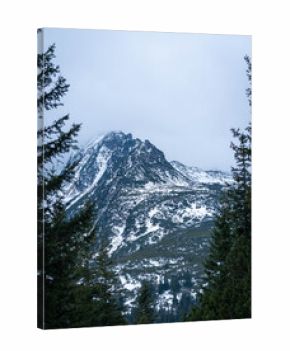 Snowy Mountain Peak Framed by Pine Trees in Winter Forest