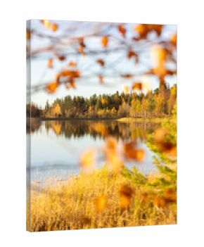 Beautiful autumn colors in Lapland Finland