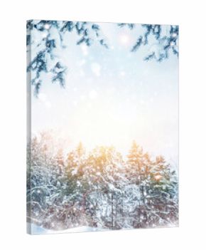 Merry Christmas and happy New Year. Snowy winter landscape. frozen fir trees