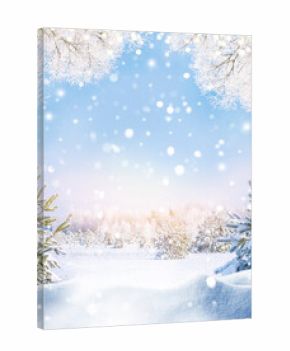 Frost on the trees. Festive Christmas card with snow covered trees. Snow in the winter forest.