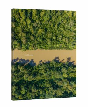 Vista aérea do rio em meio a floresta amazônica em Barcarena no Pará