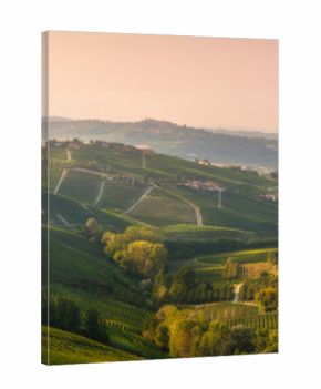 Sunset View of Barbaresco and Neive Vineyard Hills in Langhe region, Italy