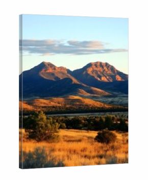 Flinders Ranges Sunset Golden Grasslands Red Mountains