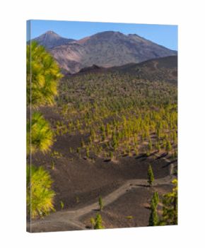 Trail below Teide and Pico Viejo