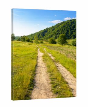 dirt road through field in mountains. beautiful rural landscape of ukraine in summer. scenic view of a countryside green environment under blue sky with clouds in evening light. forest on the hill