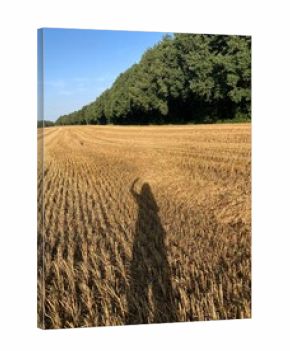 Schatten Frau winkt am Stoppelfeld am Waldrand