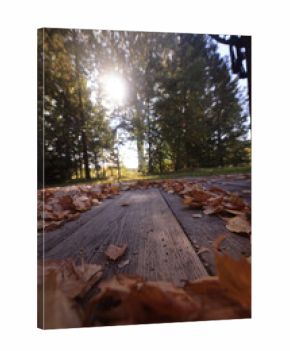 background, autumn fallen yellow leaves on an old wooden board surface, abstract October background for a frame