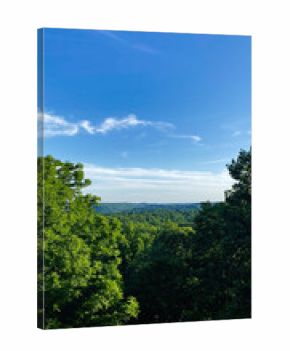 Breathtaking forest valley under a bright blue sky in Southern Illinois USA