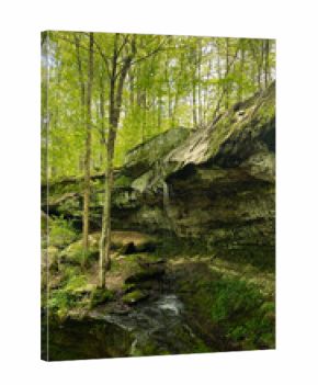 Forest waterfall over mossy rock ledge in Southern Illinois forest scene with sunlit trees