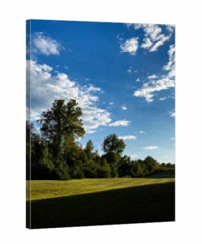 Sunny park landscape in Southern Illinois with blue sky trees and an open grassy field