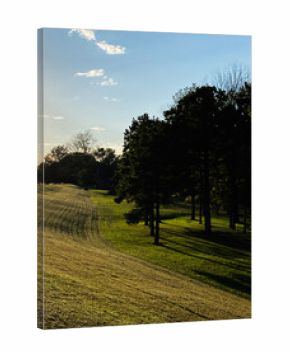 Sunlit park path with trees and long shadows in Southern Illinois countryside USA
