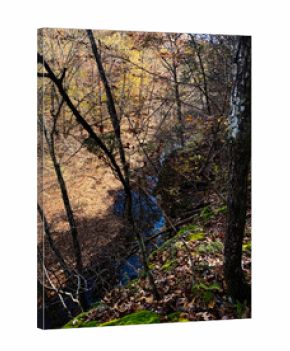 Autumn forest by a blue stream in Southern Illinois, peaceful nature scene for stock