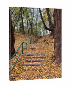 Staircase leading up into the forest covered with fallen leaves, late autumn.